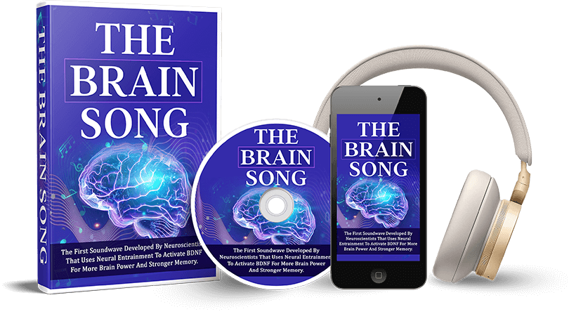 The Brain Song the brain song buy
